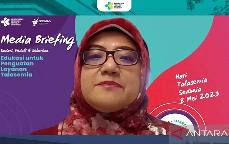 Tangkapan layar Ketua Unit Kerja Koordinator Hematologi Onkologi IDAI Teni Tjitra Sari dalam Konferensi Pers Hari Thalasemia Sedunia 2023 yang diikuti secara daring di Jakarta, Jumat (5/5/2023). (ANTARA/Hreeloita Dharma Shanti)