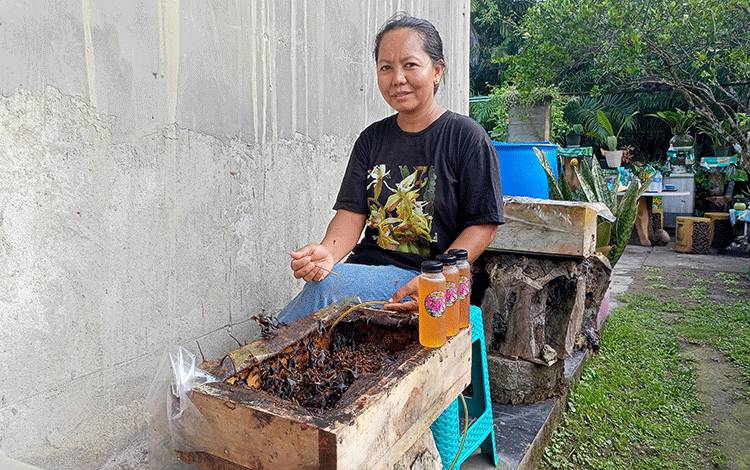 Wiani (39) warga RT 05 Kelurahan Taniran Kabupaten Barito Timur sedang memanen madu kelulut hasil budidaya, Selasa, 16 Mei 2023. (FOTO,: BOLE MALO)