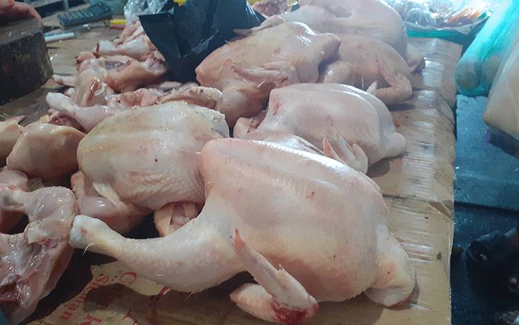 harga daging ayam potong di Pasar Indrasari turun jadi 50 ribu per kg pada Jumat, 9 Juni 2023 (FOTO: NURITA)