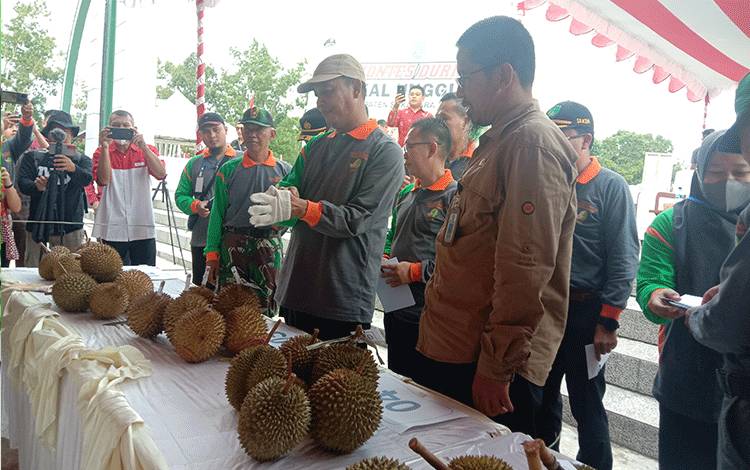 Bupati Sukamara, Windu Subagyo saat melakukan penilaian pada kontes durian lokal unggulan Kabupaten Sukamara, Kamis, 15 Juni 2023. (FOTO:NORHASANAH)