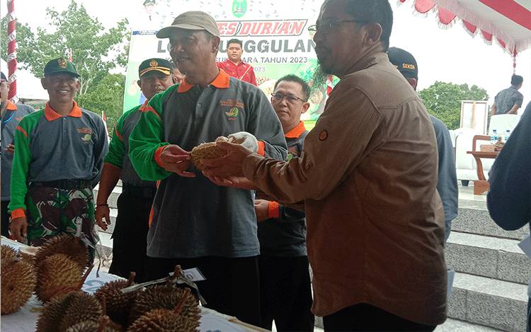 Bupati Sukamara, Windu Subagyo saat melakukan penilaian pada kontes durian lokal unggulan Kabupaten Sukamara, Kamis, 15 Juni 2023. (FOTO: NORHASANAH)