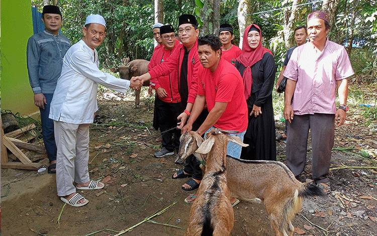 Ketua DPC PDIP Barito Timur Dendy Mahaputra menyerahkan bantuan hewan kurban kepada Ketua Bamusi H Rayesnan di Kelurahan Ampah Kota, Kamis, 29 Juni 2023. (FOTO: BOLE MALO)