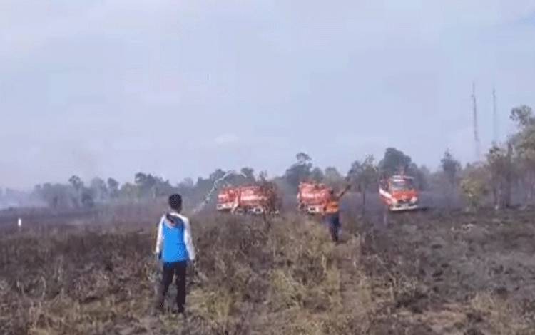 Petugas BPBD Kobar padamkan kebakaran lahan di Desa Teluk Bogam, Senin, 24 Juli 2023. (FOTO: DANANG)