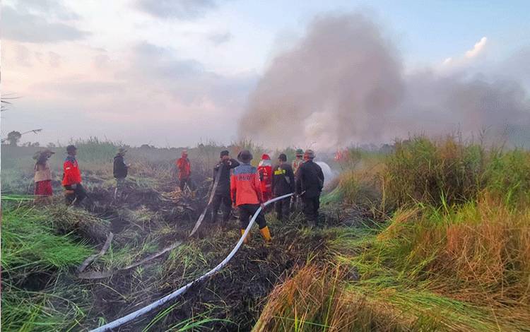 Tim Satgas Karhutla Kapuas saat lakukan pemadaman kebakaran lahan di Desa Kahuripan Permai, Minggu, 20 Agustus 2023. (FOTO: IST)