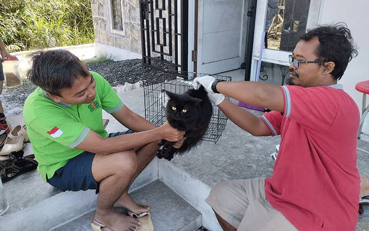 Vaksinator rabies memberikan vaksin kepada kucing milik masyarakat di Kota Palangka Raya. (FOTO: TESTI PRISCILLA)