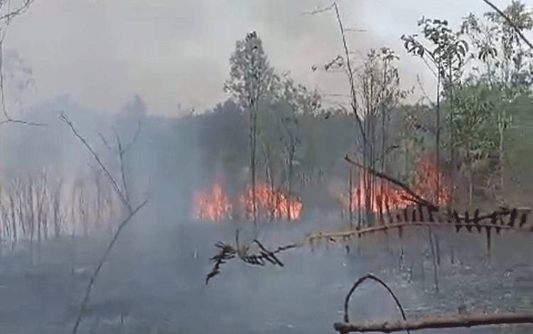 Kebakaran hutan dan lahan di Desa Karang Langit Kabupaten Barito Timur, Rabu, 30 Agustus 2023. (FOTO: TANGKAPAN LAYAR)