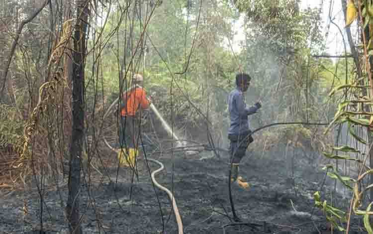 Petugas saat melakukan pemadaman terhadap kebakaran lahan di wilayah Kotim belum lama ini. (FOTO: NISA)