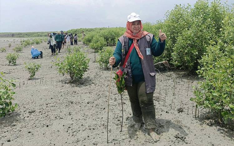 Profesor Rahmawaty dalam kegiatan penanaman mangrove di Desa Bagan Kuala, Kecamatan Tanjung Beringin, Kabupaten Serdang Bedagai, Sumatera Utara pada hari Minggu tanggal 3 September 2023.(FOTO: Dokumentasi Prof Rahmawaty)