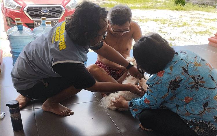 Vaksinator Rabies memberikan vaksin kepada hewan peliharaan milik masyarakat Kota Palangka Raya. (FOTO: TESTI PRISCILLA)