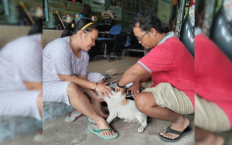 Vaksinasi rabies diberikan vaksinator kepada hewan milik masyarakat Kota Palangka Raya. (FOTO: TESTI PRISCILLA)