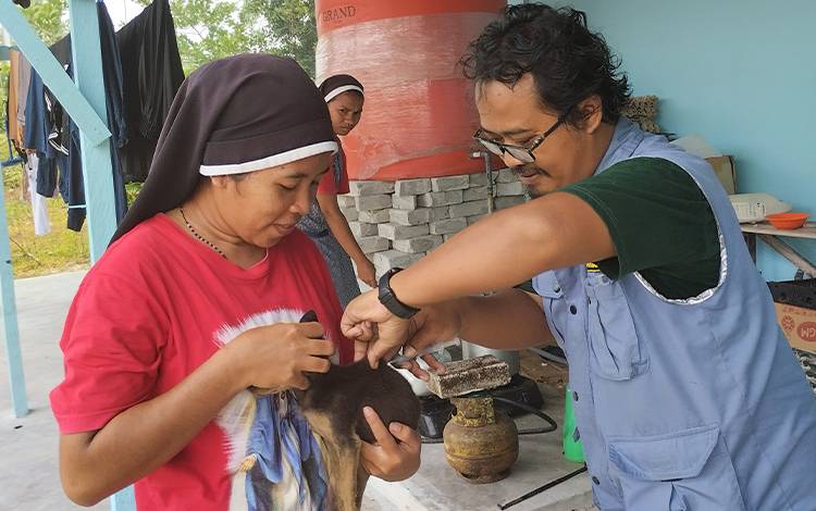 Vaksinator rabies memberikan vaksin rabies kepada hewan milik biarawati di Palangka Raya. (FOTO: TESTI PRISCILLA)