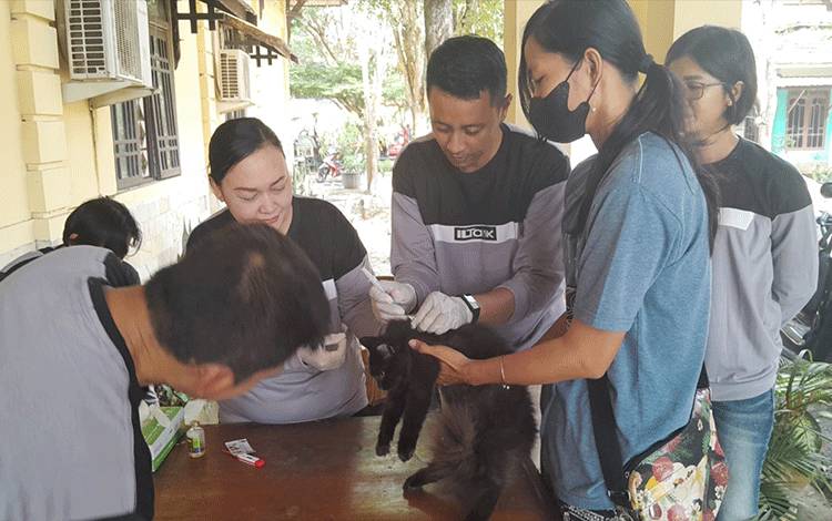 Vaksinasi rabies di kantor Distan Kapuas peringati Hari Rabies Sedunia tahun 2023. (FOTO: IST)