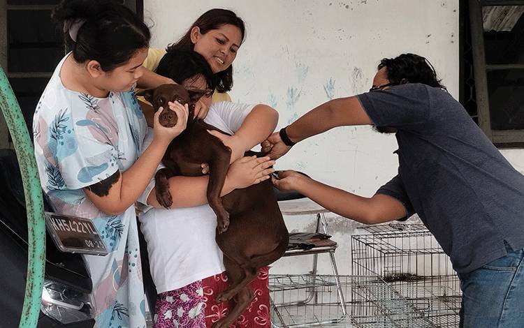 Vaksinator rabies Kota Palangka Raya memberikan suntikan vaksin rabies kepada anjing milik warga Kota Palangka Raya. (FOTO: TESTI PRISCILLA)