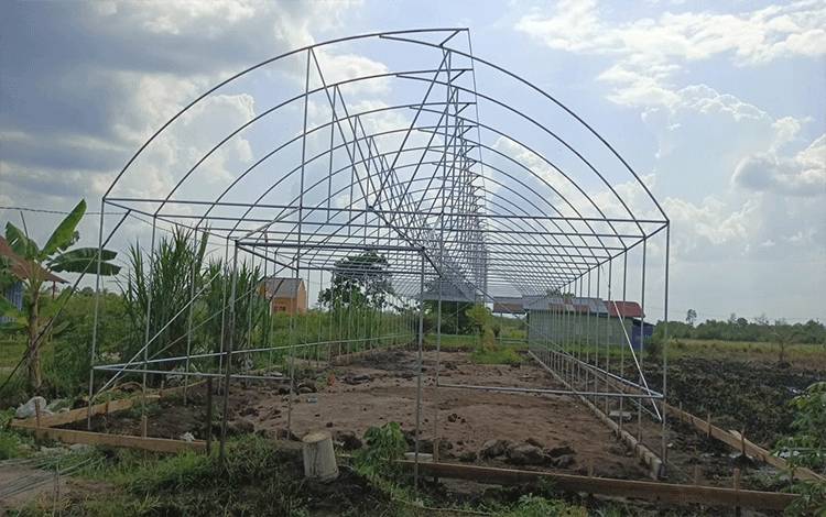 Tahap pembangunan Green House sebagai tempat pembibitan dengan teknologi soil block, bantuan dari Ditjen Hortikultura. (FOTO: IST)