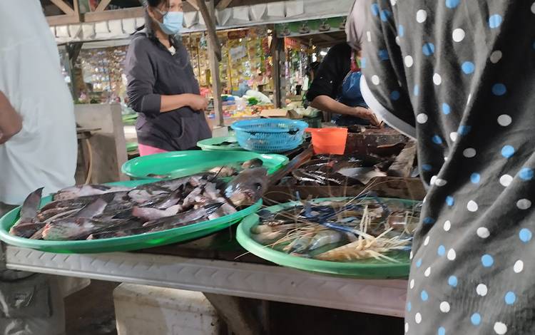 Udang galah ukuran besar jadi pilihan di saat udang laut ukuran besar langka di pasaran.(FOTO: TESTI PRISCILLA)