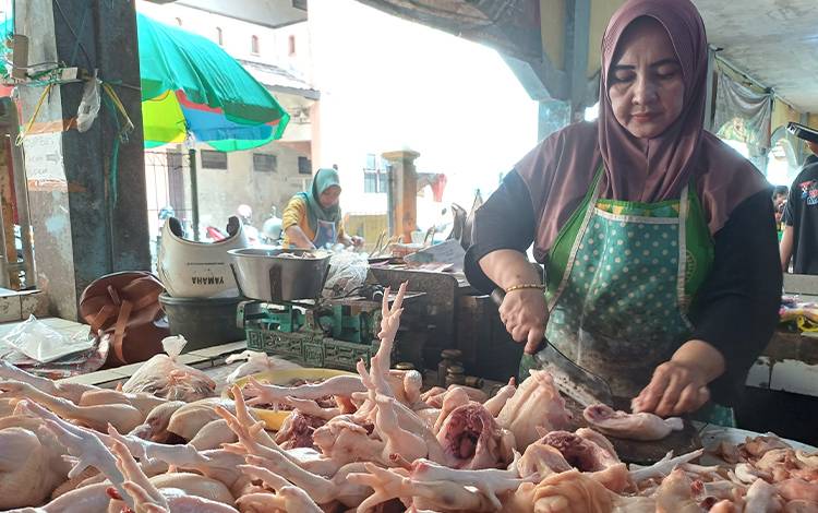 Pedagang daging ayam broiler di Pasar Ikan Mentaya, Senin, 20 November 2023. (FOTO: DEWIP)