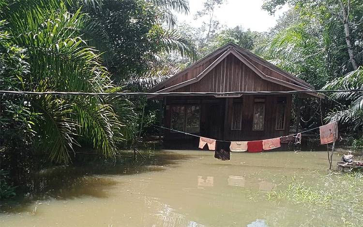Banjir yang menggenangi rumah warga di Desa Haringen Kabupaten Barito Timur, Rabu, 29 November 2023. (FOTO: BOLE MALO)