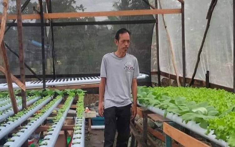 Pengembangan tanaman sayuran hidroponik di Desa Anjir Serapat Barat, Kecamatan Kapuas Timur. (FOTO: IST)
