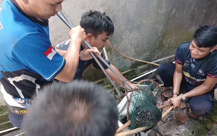 Animal Rescue DPKP Palangka Raya saat menangkap anjing liar di Jalan Kenari I (Foto : Pathur)