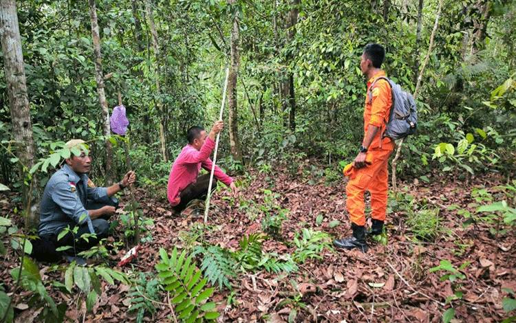 Tim SAR gabungan lakukan pencarian Judiansyah warga Kelurahan Pangkut, Kecamatan Arut Utara yang dilaporkan hilang. (Foto : Basarnas Kalteng)