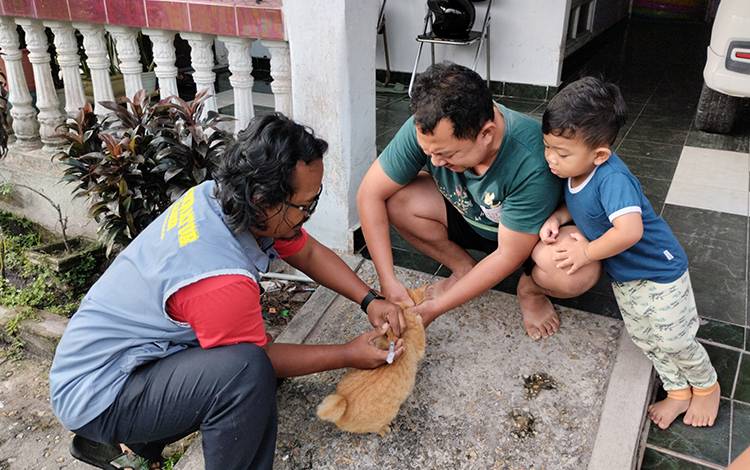 Vaksinator memberikan suntikan vaksin rabies kepada kucing peliharaan masyarakat Kota Palangka Raya. (FOTO: TESTI PRISCILLA)