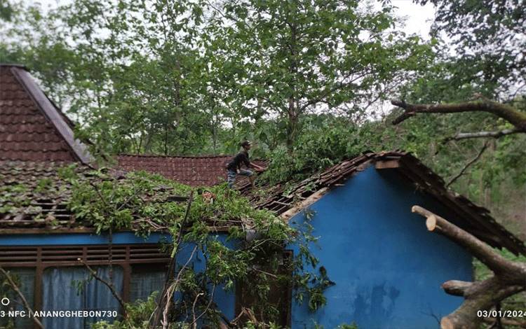 Salah satu rumah yang mengalami kerusakan akibat tertimp pohon dampak dari bencana angin kencang yang terjadi di Kabupaten Sleman, Yogyakarta, Rabu (4/1/2023). ANTARA/HO-BPBD Sleman