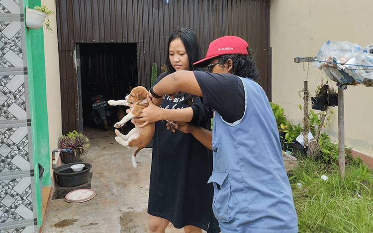 Vaksinasi Rabies diberikan kepada hewan penular rabies atau HPR yang menjadi peliharaan masyarakat Kota Palangka Raya. (FOTO: TESTI PRISCILLA)