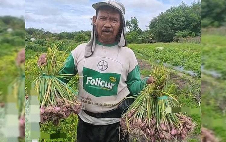 Kelompok Tani Maju Bersama di Desa Siong Kabupaten Barito Timur sukses mengembangkan budidaya komoditas bawang merah Varietas Thailand. (TANGKAPAN LAYAR VIDEO)