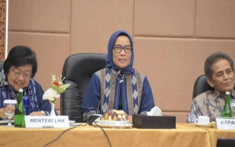 Pj Wali Kota Palangka Raya menghadiri pertemuan dengan Menteri LHK, Siti Nurbaya Bakar. (FOTO: PROKOM)