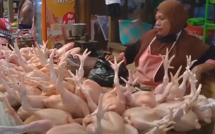 Daging ayam ras, salah satu komoditas yang rawan mengalami peningkatan harga di Kota Palangka Raya.(FOTO: IST)