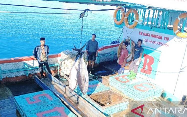 Para nelayan Biak , Papua sedang memperlihatkan Ikan tuna jenis Yellowfin hasil tangkapan sebagai penggerak perekonomian daerah 2023/2024.