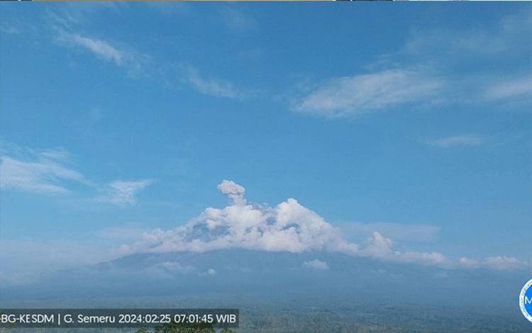 Gunung Semeru erupsi yang terpantau dari Pos Pengamatan Gunung api Semeru di Desa Sumberwuluh, Kecamatan Candipuro, Kabupaten Lumajang, Minggu (25/2/2024) pukul 06.59 WIB. (ANTARA/HO-PVMBG)