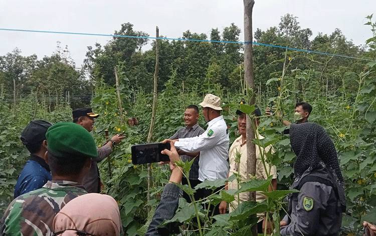 Dinas Ketahanan Pangan dan Pertenakan (DKPP) mengunjungi petani. (FOTO:NORHASANAH)