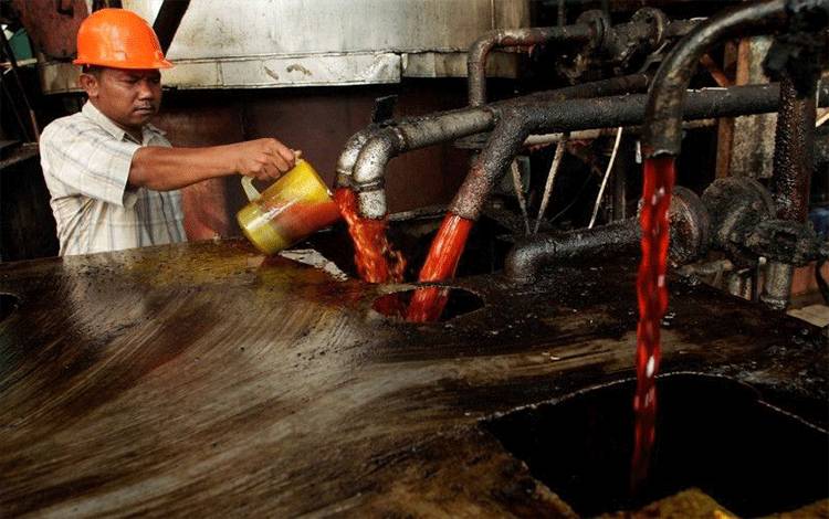 Foto Dokumen: Seorang pekerja memeriksa kualitas minyak sawit mentah (CPO) di unit pemrosesan CPO milik negara di provinsi Sumatera Utara, Indonesia 29 Mei 2012. ANTARA/REUTERS/Tarmizy Harva