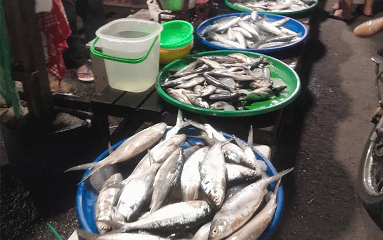 Tumpukan Ikan segar dijual di Pasar.(Foto:MARINI)