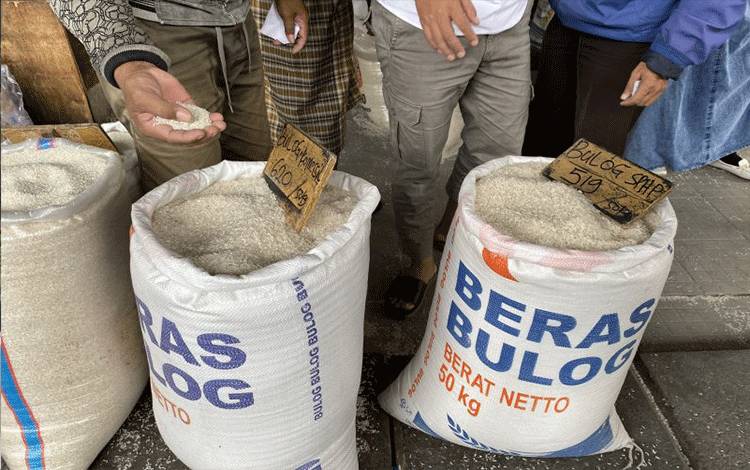 Pembeli memeriksa beras Bulog komersial dan beras Bulog SPHP yang dijual di Pasar Induk Beras Cipinang, Jakarta, Jumat (15/3/2024). ANTARA/Shofi Ayudiana