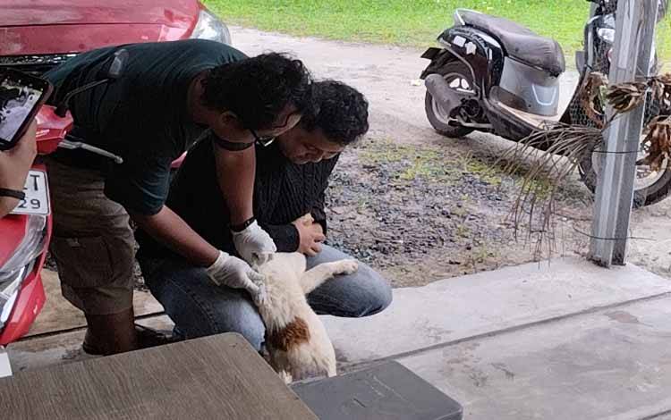 Vaksinator rabies Kota Palangka Raya memberikan suntikan vaksin rabies kepada hewan peliharaan milik masyarakat.(FOTO: TESTI PRISCILLA)