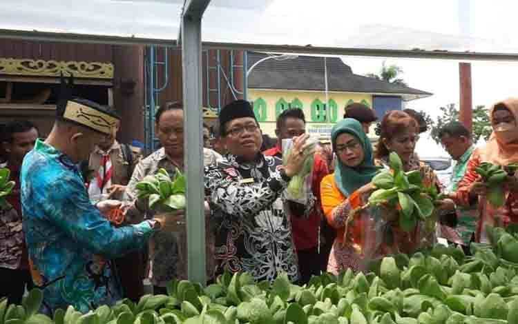 Panen sayuran hidroponik budi daya DWP Disarpustaka Kapuas. (FOTO: IST)