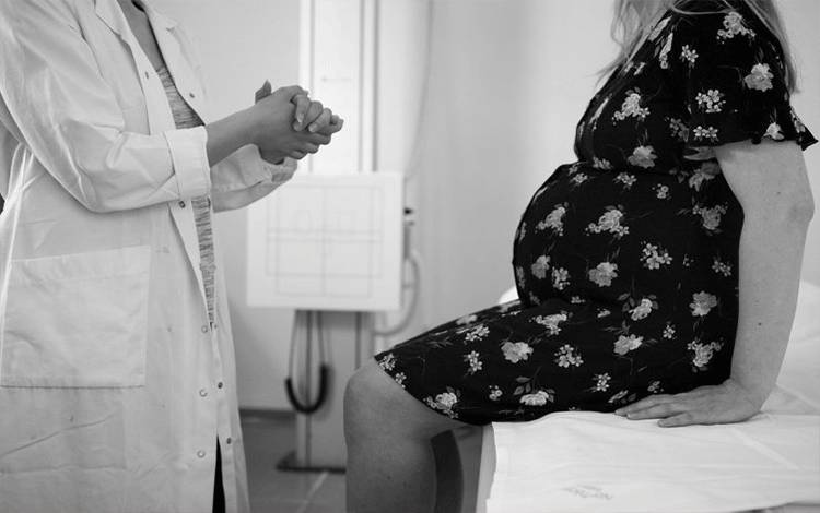 Ilustrasi Ibu hamil tengah berkonsultasi. (Foto oleh Bokskapet dari Pixabay)