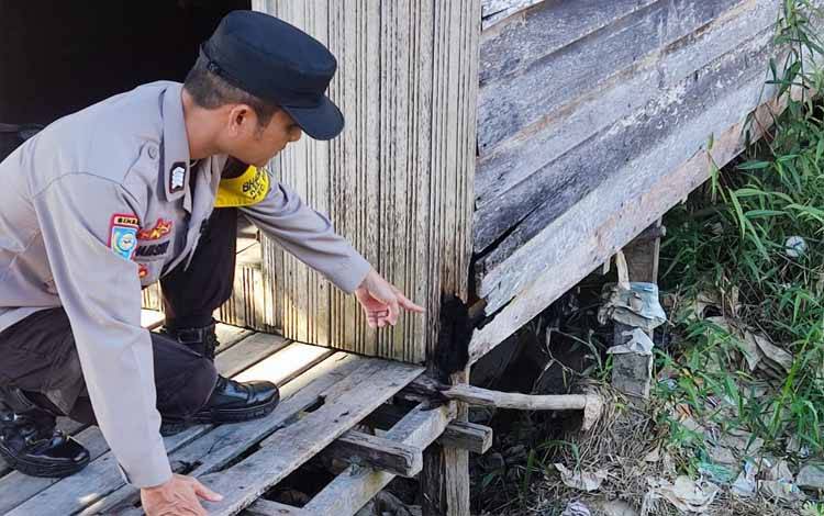 Bhabinkamtibmas Kelurahan Pahandut Bripka M Hamsin saat melakukan pengecekan TKP terkait isu ramai di media sosial (Foto : Polsek Pahandut)