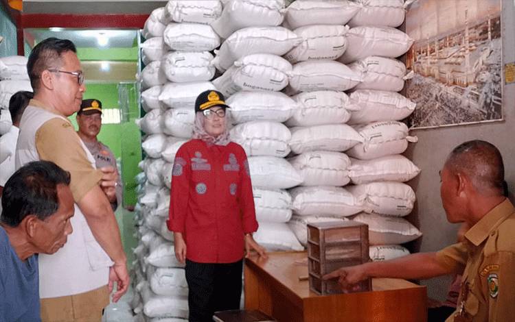 Pj Wali Kota Palangka Raya, Hera Nugrahayu saat memantau harga beras di pasar. (FOTO: HUMAS)