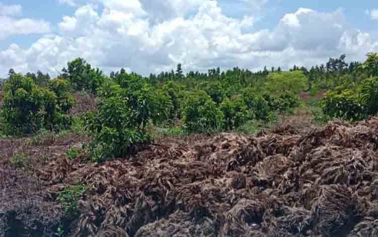 Salah satu Lahan di Kecamatan Rakumpit yang akan digunakan untuk pertanian mewujudkan kedaulatan pangan. (HENDRI)