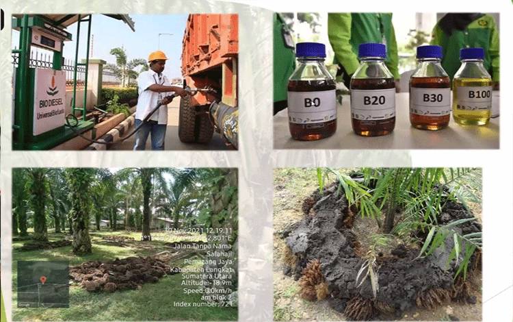 Produk turunan kelapa sawit.(FOTO: Dokumentasi BPDPKS)