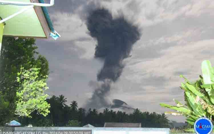 Kolom abu vulkanik membumbung keluar dari kawah Gunung Ibu di Pulau Halmahera, Maluku Utara, Minggu (28/4/2024). (ANTARA/HO-PVMBG)