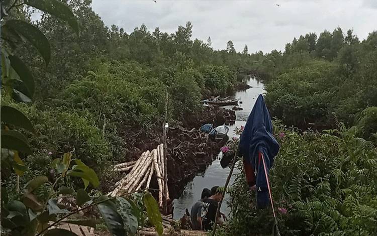 Lokasi pencarian mahasiswa ULM yang dikabarkan hilang di wilayah Desa Sei Ahas, Kecamatan Mantangai. (FOTO: IST)