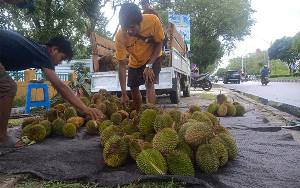Buah Durian Mulai Dijual di Palangka Raya