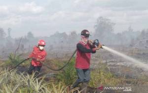 Kebakaran Hutan Terjadi di Dekat Konsesi Sinarmas