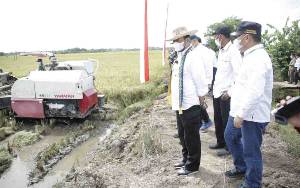 Menteri Pertanian Optimis Food Estate di Kalteng Berhasil