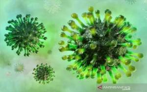Pakar: Kemungkinan 2 Varian Virus Corona Bergabung Bentuk Varian Baru