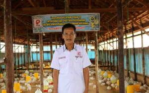 Peternak Ayam Broiler Siap Dukung Stok Pangan dan Peningkatan Ekonomi